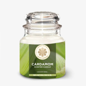 Jaipur Candles Dome Jar Scented Candle | 100 Grams, 1 Candle (Cinnamon)