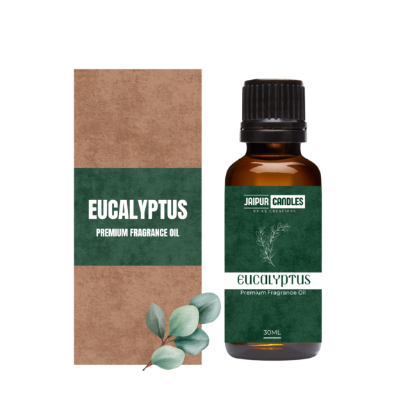 Jaipur Candles Premium Fragrance oil- 30ML (Eucalyptus)