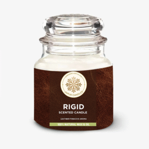 Jaipur Candles Dome Jar Scented Candle | 100 Grams, 1 Candle (Leather + Tobacco)