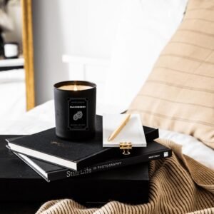 Jaipur Candles Premium Frosted Scented Candle | 175 Grams, 1 Candle (Blackberry)